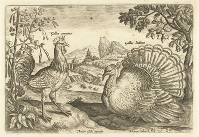 Duas galinhas numa paisagem
Avivm Vivae (título da série)
Pássaros (título da série) de Adriaen Collaert
