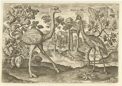 Dois pássaros que não voam em uma paisagem Avium Vivae (título da série) Aves (título da série) de Adriaen Collaert