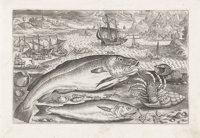 Dois peixes na praia Pesca (título da série) Ícones de Piscium vivae (título da série) de Adriaen Collaert