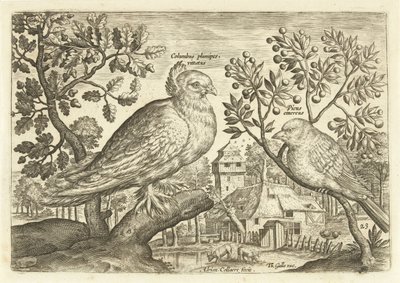 Dois pássaros numa paisagem
Avivm Vivae (título da série)
Pássaros (título da série) de Adriaen Collaert