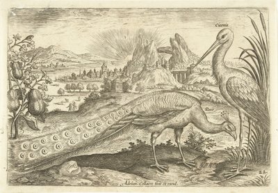 Dois pássaros numa paisagem
Avivm Vivae (título da série)
Pássaros (título da série) de Adriaen Collaert
