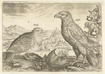 Dois pássaros numa paisagem
Avivm Vivae (título da série)
Pássaros (título da série) de Adriaen Collaert