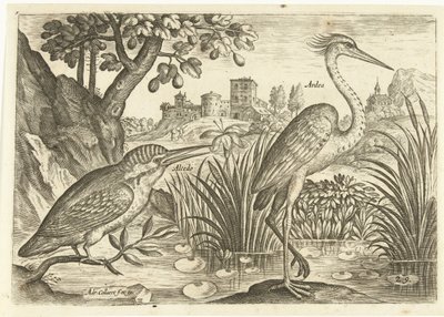 Dois pássaros em uma paisagem Aves (título da série) Avium Vivae (título da série) de Adriaen Collaert