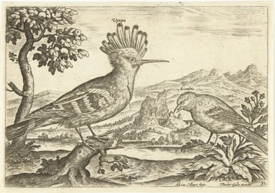 Dois pássaros em uma paisagem Aves (título da série) Avium Vivae (título da série) de Adriaen Collaert
