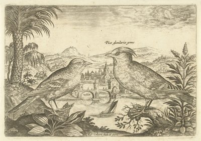 Dois pássaros em uma paisagem Aves (título da série) Avium Vivae (título da série) de Adriaen Collaert