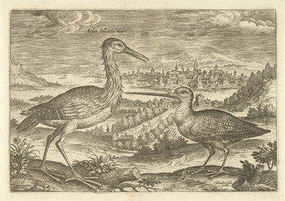 Dois pássaros em uma paisagem Aves (título da série) Avium vivae (título da série) de Adriaen Collaert