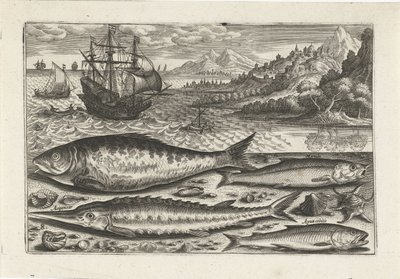 Quatro peixes na praia
Peixe (título da série)
Piscivm vivae icones (título da série) de Adriaen Collaert