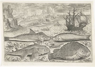 Quatro peixes na praia
Peixe (título da série)
Piscivm vivae icones (título da série) de Adriaen Collaert