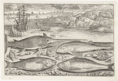 Quatro peixes na praia
Peixe (título da série)
Piscivm vivae icones (título da série) de Adriaen Collaert
