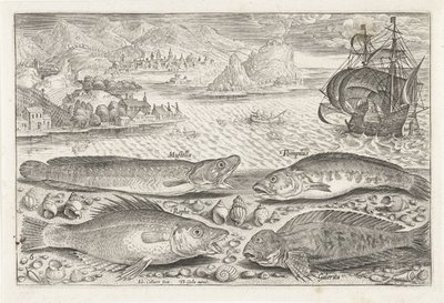Quatro peixes na praia Pesca (título da série) Ícones de Piscium vivae (título da série) de Adriaen Collaert