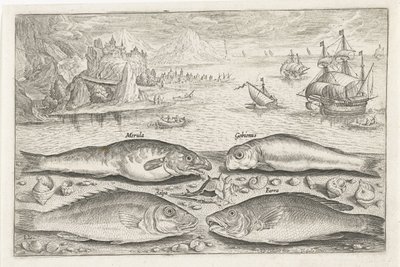 Quatro peixes na praia
Peixe (título da série)
Piscivm vivae icones (título da série) de Adriaen Collaert