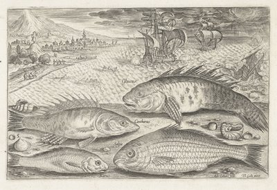 Quatro peixes na praia Pesca (título da série) Ícones de Piscium vivae (título da série) de Adriaen Collaert
