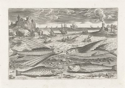 Quatro peixes na praia Pesca (título da série) Ícones de Piscium vivae (título da série) de Adriaen Collaert