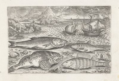 Quatro peixes na praia
Peixe (título da série)
Piscivm vivae icones (título da série) de Adriaen Collaert