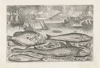 Quatro peixes na praia Pesca (título da série) Ícones de Piscium vivae (título da série) de Adriaen Collaert