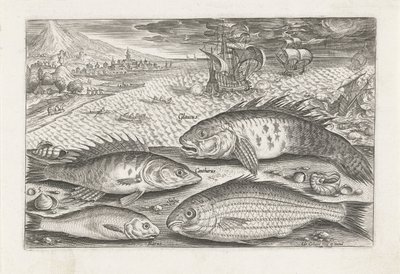 Quatro peixes na praia
Peixe (título da série)
Piscivm vivae icones (título da série) de Adriaen Collaert
