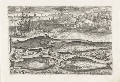 Quatro peixes na praia Pesca (título da série) Ícones de Piscium vivae (título da série) de Adriaen Collaert