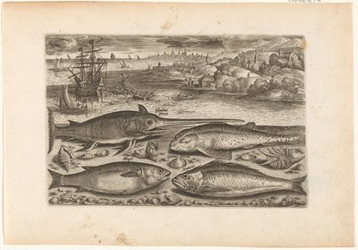 Quatro peixes na praia
Peixe (título da série)
Piscivm vivae icones (título da série) de Adriaen Collaert