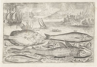 Quatro peixes na praia
Peixe (título da série)
Piscivm vivae icones (título da série) de Adriaen Collaert