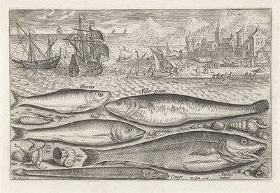 Cinco peixes na praia
Peixe (título da série)
Piscivm vivae icones (título da série) de Adriaen Collaert