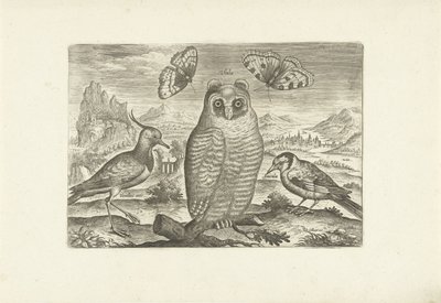 Pássaros e borboletas numa paisagem
Pássaros (título da série)
Avivm vivae (título da série) de Adriaen Collaert