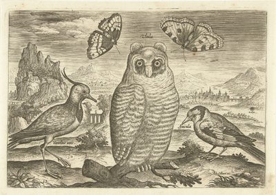 Pássaros e borboletas numa paisagem
Pássaros (título da série)
Avivm vivae (título da série) de Adriaen Collaert