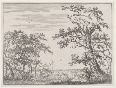 Paisagem com um riacho e uma árvore antiga de Adriaen Hendricks Verboom