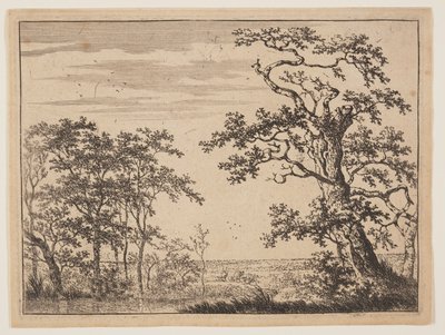 A lagoa de Adriaen Hendricksz. Verboom