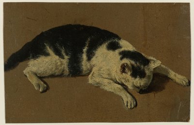 Gato deitado com a cabeça entre as patas dianteiras de Adriaen van de Velde (attributed to)