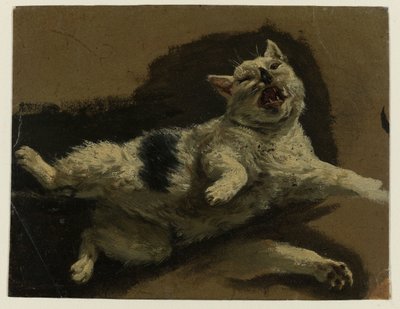 Gato deitado de costas e pata solta de Adriaen van de Velde (attributed to)