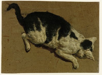Gato olhando para baixo de uma plataforma de Adriaen van de Velde (attributed to)