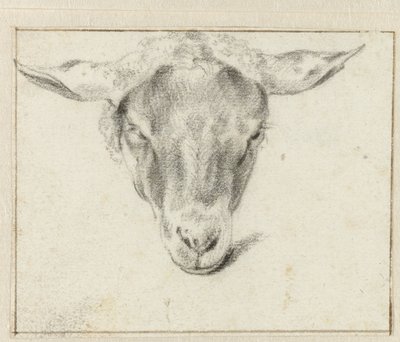 Cabeça de ovelha, de frente de Adriaen van de Velde (attributed to)