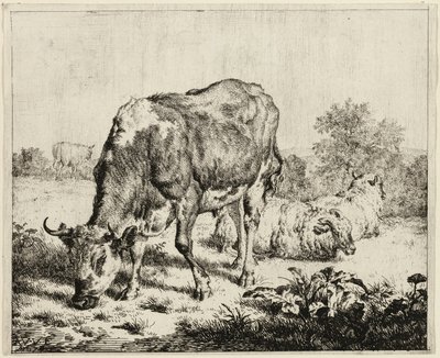 Uma vaca e três ovelhas de Adriaen van de Velde