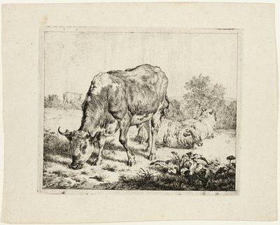 Touro pastando e três ovelhas de Adriaen van de Velde