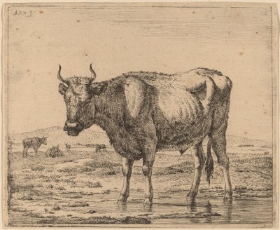 Touro em pé na água de Adriaen van de Velde