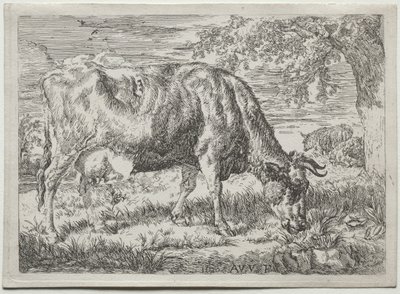 Vaca e duas ovelhas ao pé de uma árvore de Adriaen van de Velde