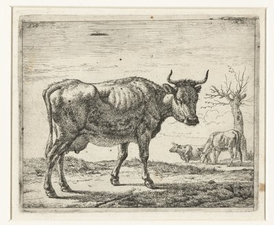 Três vacas
Vários animais (título da série) de Adriaen van de Velde