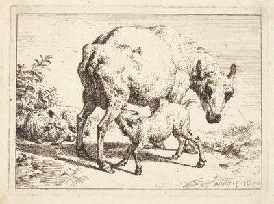 Ovelhas e dois cordeiros de Adriaen van de Velde