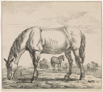 Cavalo de pasto
Bovinos (título da série) de Adriaen van de Velde