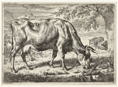Vaca de pasto e duas ovelhas
Vacas e ovelhas (título da série) de Adriaen van de Velde