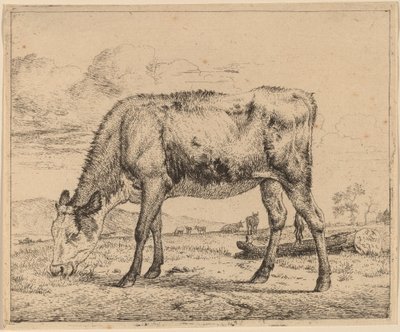 Bezerro pastando de Adriaen van de Velde