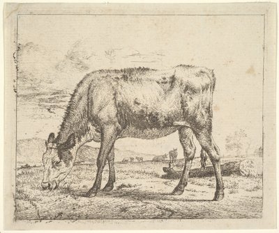 Pastando Bezerro, de Diferentes Animais, 1658. de Adriaen van de Velde