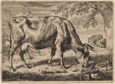 Grazing Cow with Two Sheep de Adriaen van de Velde