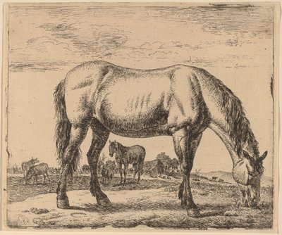 Cavalo pastando de Adriaen van de Velde