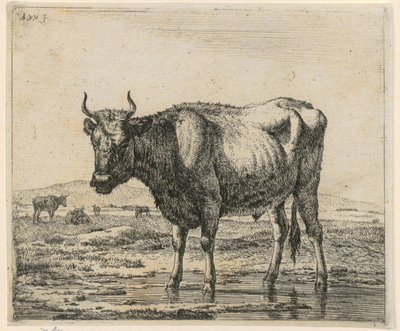 Touro de pé na água, prancha 6 da série «Vários animais» de Adriaen van de Velde
