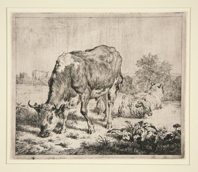 A Torta de Carne Bovina e as Três Ovelhas de Adriaen van de Velde