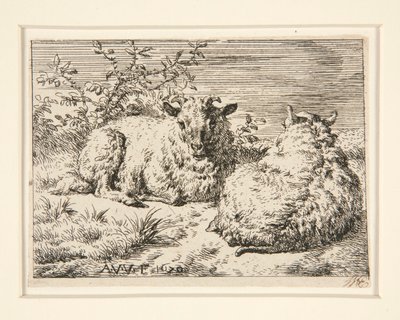 As Duas Ovelhas de Adriaen van de Velde