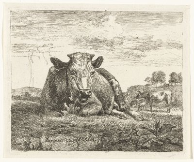 vaca deitada Animais diferentes (título da série) de Adriaen van de Velde