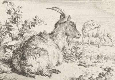 Cabra Deitada, 1670 de Adriaen van de Velde
