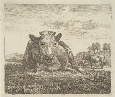 Vaca Reclinada, de Different Animals, 1657. de Adriaen van de Velde